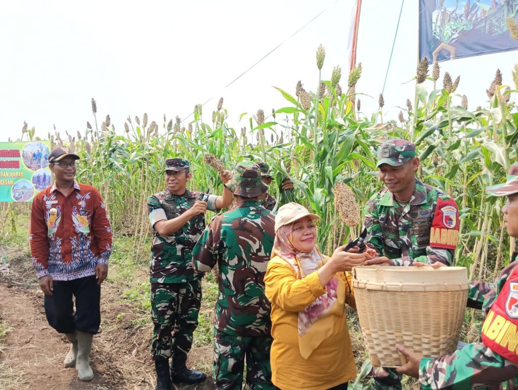 WhatsApp Image 2025-03-05 at 09.00.00_cb358372